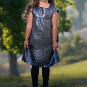 Baby Gap Holiday Dress (super sparkly!)